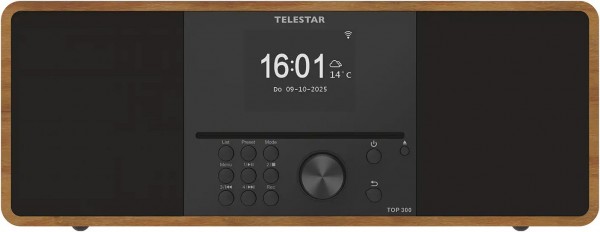 TOP 300 Internetradio holz