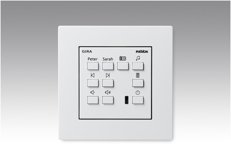 Voxnet Wandbedienung 218 System 55