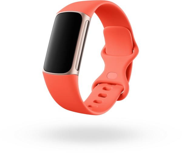 Fitbit Charge 6 Activity Tracker coral band/champagne gold  