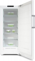 FN 4748 D Gefrierschrank weiß