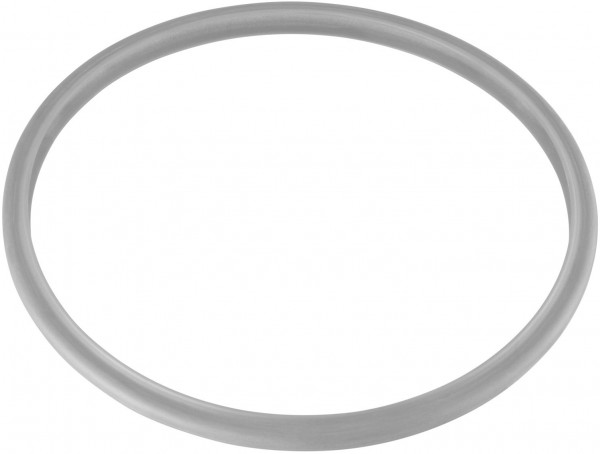 Dichtungsring (22cm)