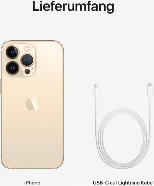 Apple iPhone 13 Pro (256GB) gold | EURONICS