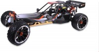 Pitbull X Buggy