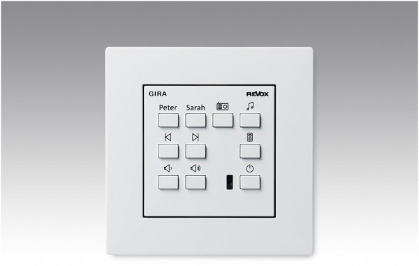 Voxnet Wandbedienung 218 System 55