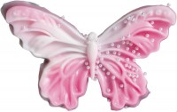Squeeze Schmetterling