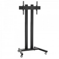 TD1564 Displaywagen schwarz