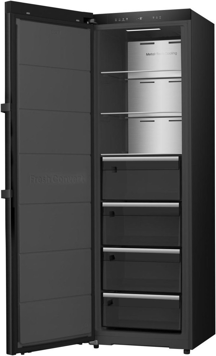 FT5K310GSFC1 Gefrierschrank schwarz