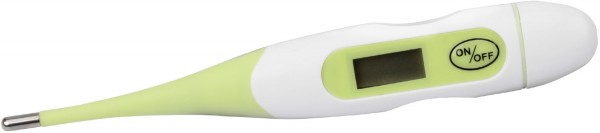 BS 31 Fieberthermometer