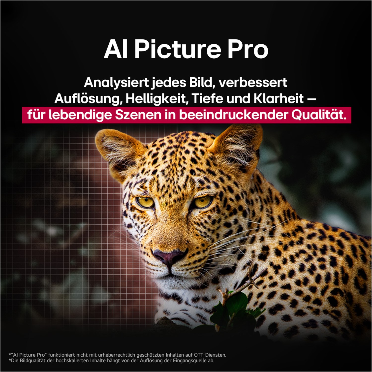 OLED65C58LA 164 cm (65