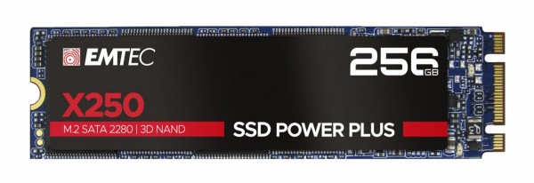 X250 M.2 (256GB) Solid-State-Drive
