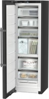 SFNbsd 529i-23 Gefrierschrank blacksteel