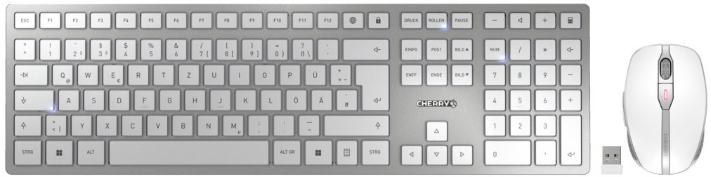 DW 9100 Slim (DE) Kabelloses Tastatur-Set silber/weiß
