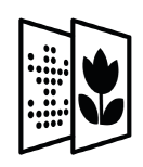 fabaefd7-93fd-4b34-803b-0f32e8fcf654.png