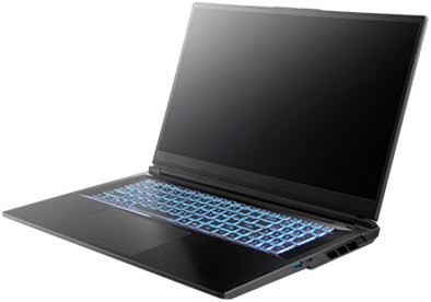 Defender 17 P15 (MD600085) 43,9 cm (17,3") Gaming Notebook schwarz, 32 GB RAM, 1000 GB SSD, nVidia GeForce RTX 5070, Full HD (1920x1080), Windows 11