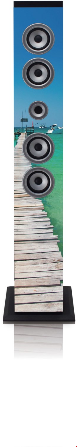 IBT-6 Aktiver Multimedia-Lautsprecher sea