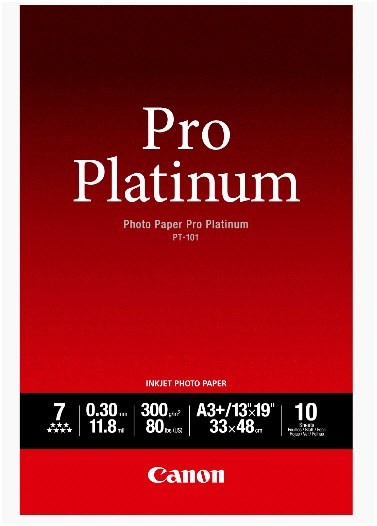 PT-101 Pro Platinum 10 Blatt Fotopapier weiß