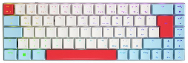 Xtrfy MX-LP 2.1 Compact (DE) MX Low Profile Speed Switches Kabellose Gaming Tastatur weiß