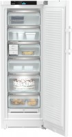 FNb 505i-22 Gefrierschrank weiss