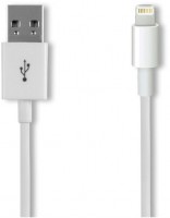 iPhone 5 USB-Datenkabel weiß