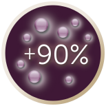 e64582e2-179e-4714-9981-c220c1474628.png