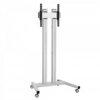 TD2064 Displaywagen silber