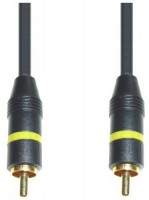 VC 42 G/10 Cinch-St.>Cinch-St., 10m gold