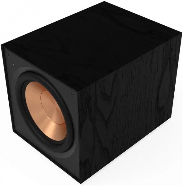 R-101SW EAU Aktiv-Subwoofer schwarz