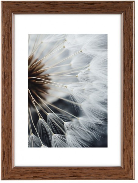 Kunststoffrahmen Breeze 20x30cm nuss