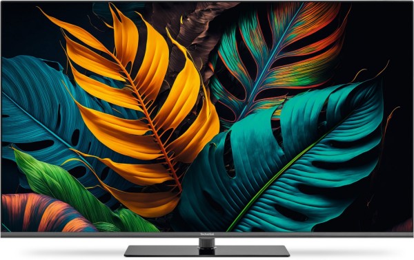 TechniVision UHD50A 126 cm (50") LCD-TV mit LED-Technik titan/schwarz, 4K Ultra HD, Smart-TV, HDR-Wiedergabe, DVB-T2/DVB-C/DVB-S2