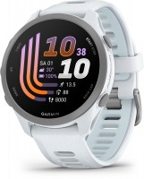 Forerunner 170 Sportuhr steinweiss/cloud blue
