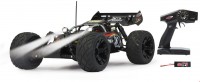 Splinter Desertbuggy RC Auto