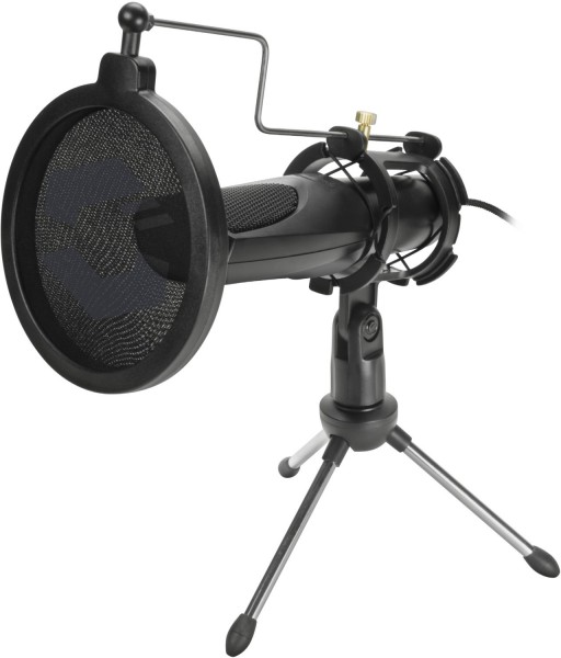 Audis Streaming Microphone schwarz