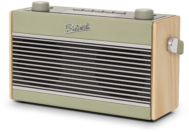 RamblerBT Stereo Kofferradio mit DAB/DAB+ leaf