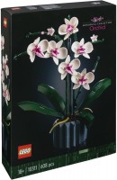 Icons Orchidee