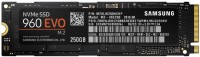 960 EVO M.2 (250GB) Solid-State-Drive