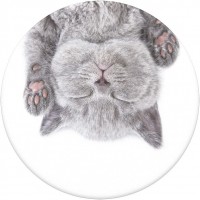 PopGrip Cat Nap