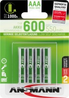 NiMH Akku Micro AAA Typ 600 4er Blister