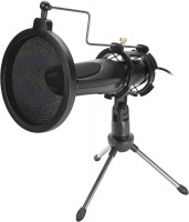 Audis Streaming Microphone schwarz