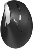 EV250 Kabellose Maus schwarz